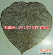 <b>公明鉬蝕刻技術</b>