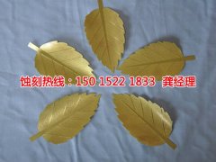 <b>謝崗喇叭網(wǎng)蝕刻技術</b>