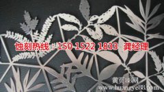 <b>白云區(qū)腐刻加工_網(wǎng)孔蝕刻</b>
