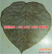 <b>慈溪腐蝕加工_蝕刻網(wǎng)</b>